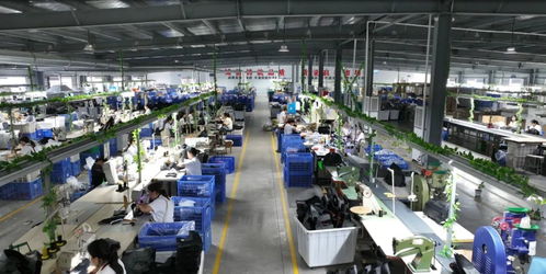 湖北翔驰运动用品 以信息系统集成服务加快培育新质生产力，赋能企业创新发展