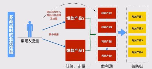 产品演化与用户共生 信息系统集成服务中的用户运营体系构建与管理